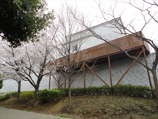 神奈川県横浜市都筑区 Ｋ邸 スカイデッキでお花見 桜に手が届きそうな空中ウッドデッキ