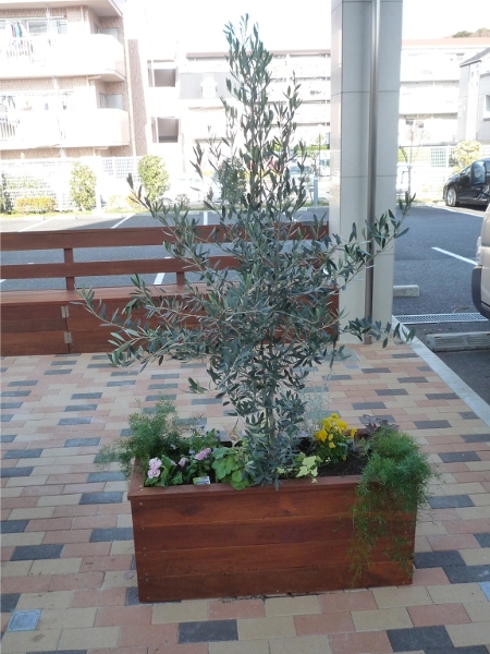 ガーデンデザイン (神奈川県K病院)