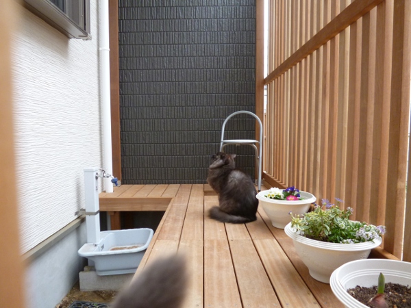 神奈川県横浜市都筑区 N邸 猫用フェンス付 専用ウッドデッキとアーチ状デザインフェンス