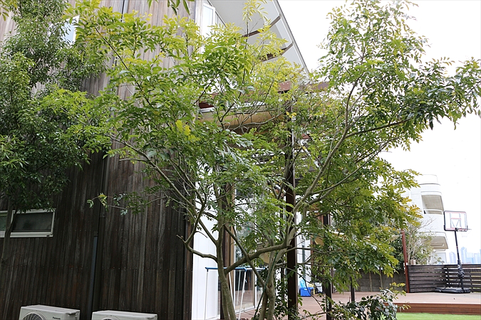 東京都世田谷区 I邸 広大な敷地の外構全般リニューアル。家族全員が愉しめる木を使った快適空間