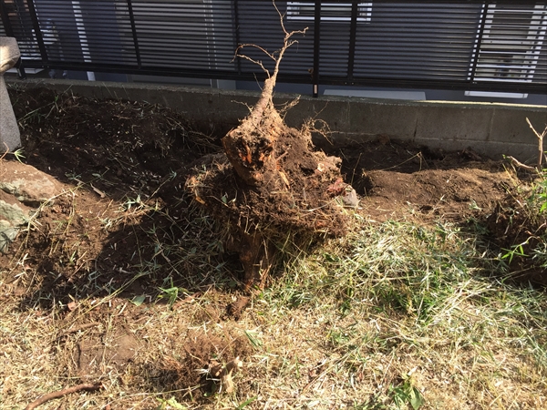 神奈川県横浜市青葉区 F邸 深刻な笹被害に遭ったお庭を 天然木と石で和モダンアレンジ