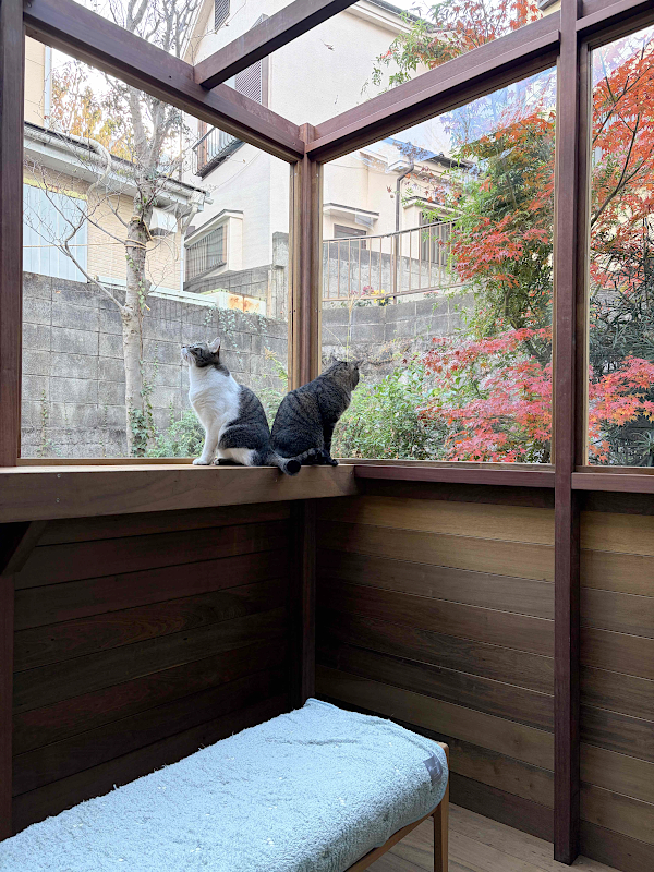 【川崎市多摩区 一戸建て庭 ウッドデッキ】B1