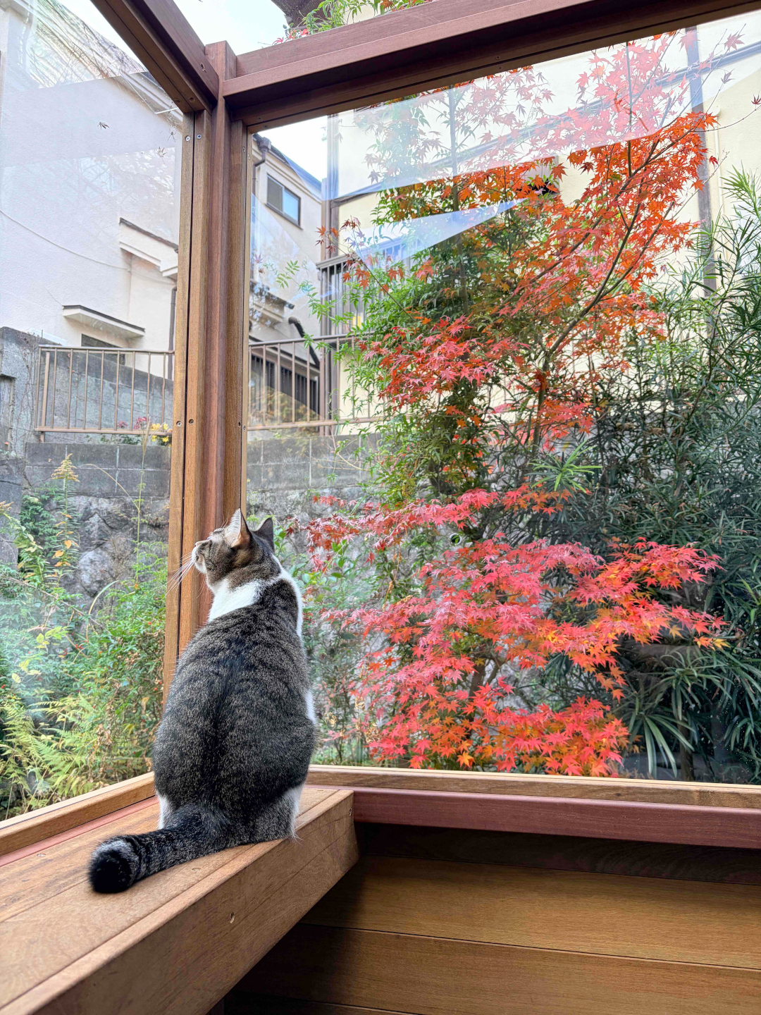 【川崎市多摩区 一戸建て庭 ウッドデッキ】LAST