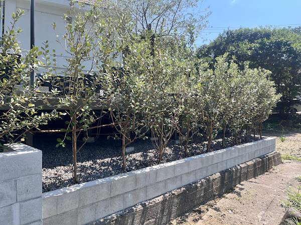 【鎌倉市 一戸建てバルコニー 樹脂木デッキ】C