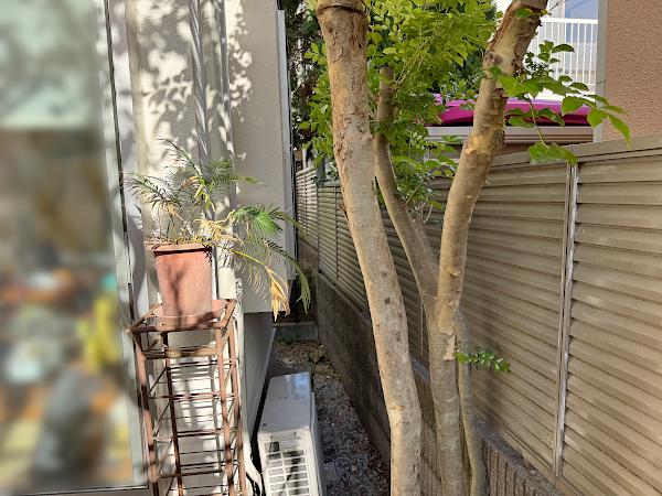 【武蔵野市 一戸建て庭 ウッドデッキ】before_03